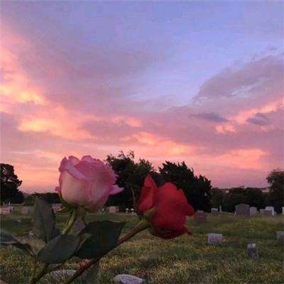 BO半岛综合app安全下载