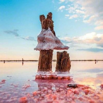 亚虎娱乐下载手机版