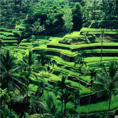 亚虎娱乐下载手机版